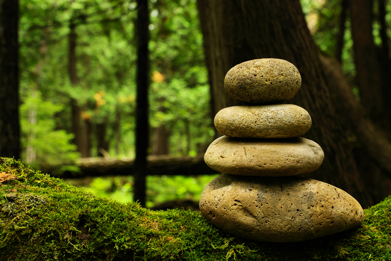 Close-up of pebble stones balancing in a forest.